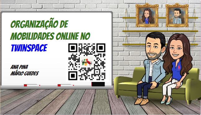 Organizar-mobilidades-online-TwinSpace